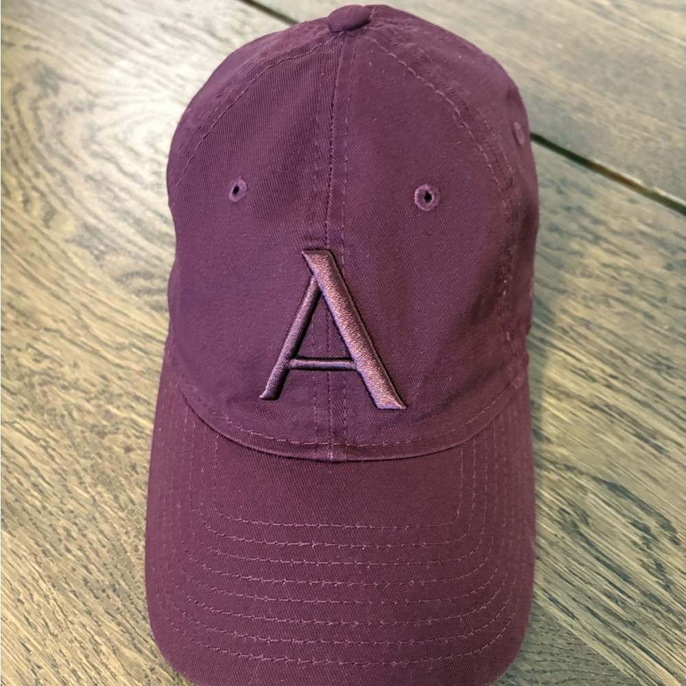 NWTO Aritzia Burgundy Cap